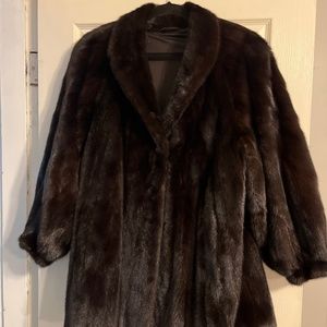 Short DASCO Catherine